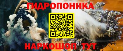 крисы Будённовск